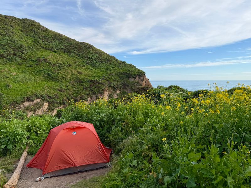 Wildcat Campground, Bolinas, CA