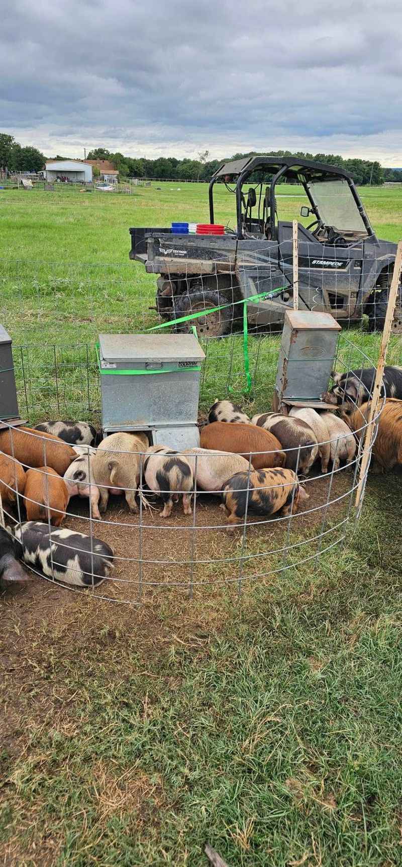 Workshops for Would-Be Homesteaders Workshops for Would-Be Homesteaders