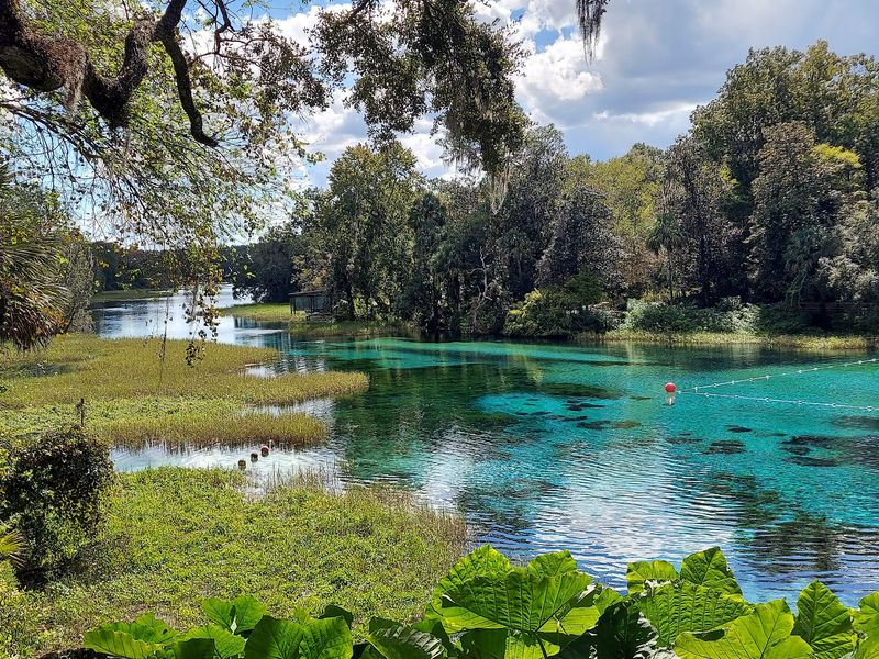 Worth the Drive to Dunnellon Worth the Drive to Dunnellon