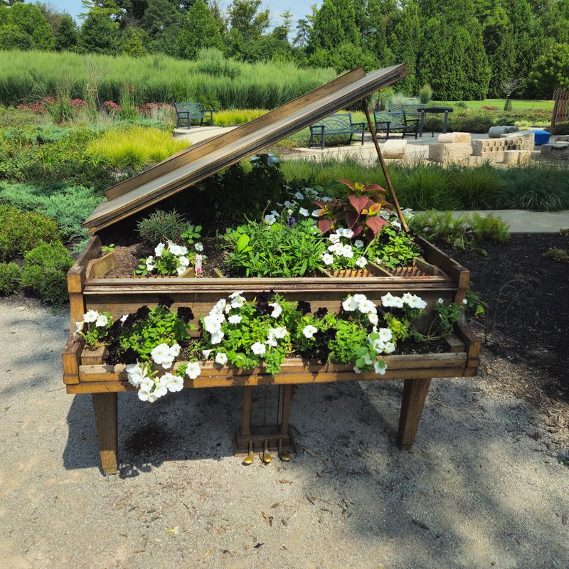 Xylophones Among the Flowers Xylophones Among the Flowers
