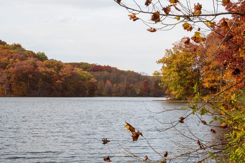 Yellowwood State Forest, Nashville, IN