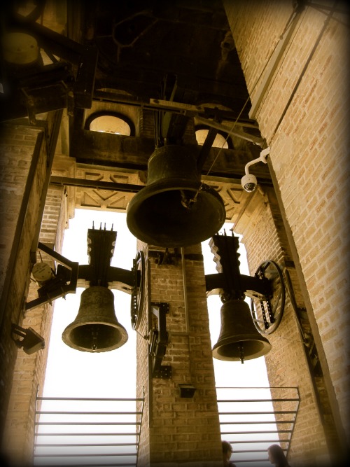 Bell Tower | What to do in Seville with Kids via We3Travel