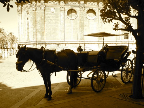 Carriage ride in Seville | What to do in Seville with Kids via We3Travel
