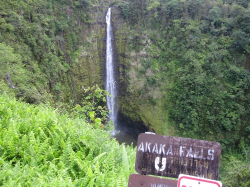 Best Things to do on The Big Island with Kids - visit Akaka Falls