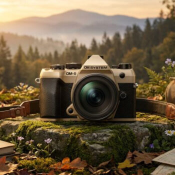 10 Best Cameras That Are Easy, Powerful, and Reliable in 2026