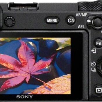 10 Best Cameras for Capturing Flowers & Plants in Stunning Detail