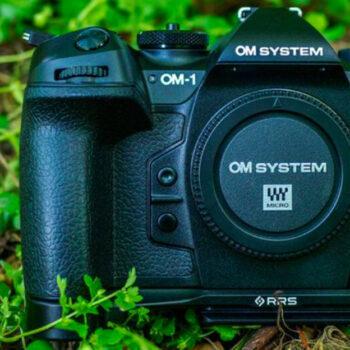 10 Best Cameras for Capturing Macro Details That Look Unreal