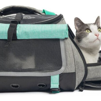10 Compact Cat Carriers for Flights — Practical Picks with Expert Opinion