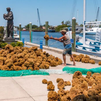 10 Florida hidden gems for old-Florida charm, according to locals