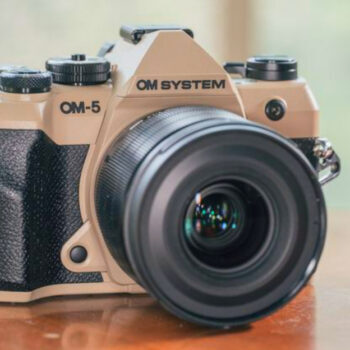 10 Mirrorless Cameras That Nail Christmas Morning Shots