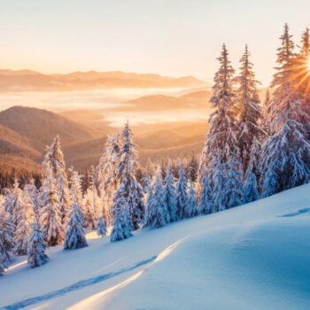 10 Most Detailed Cameras for Snowy Landscapes in 2025