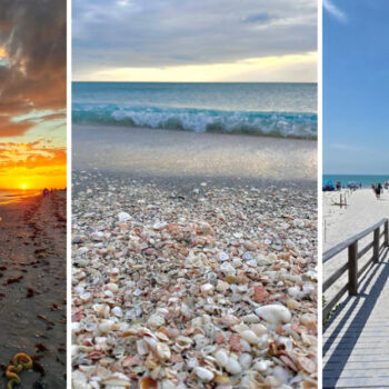 10 Must-Visit Shelling Beaches Across Florida