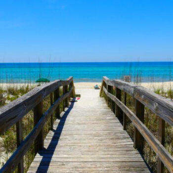 10 Underrated Florida State Parks for Barefoot Beach Walks (Bring Your Binoculars)