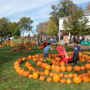 10 can't miss NYC fall experiences that aren't museums