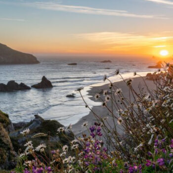 11 Best Beachfront Campsites in the USA