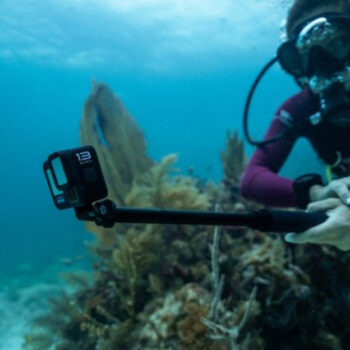 12 "Tiny but Mighty" Travel Cameras We'd Pack Again (Tested Picks)