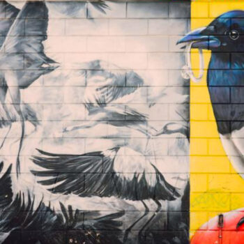 12 Best Travel Cameras That Make Graffiti Pop Without Overexposure