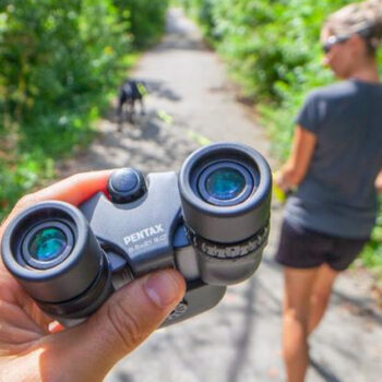 12 Compact Binoculars That Make Wildlife Travel Better