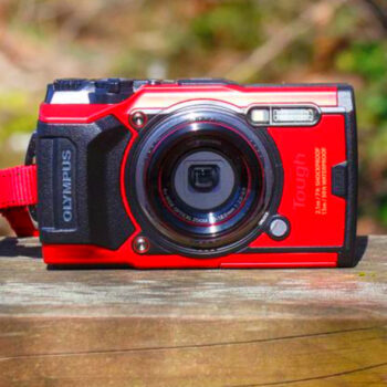 12 Compact Cameras Made for Cozy Cabin Getaways