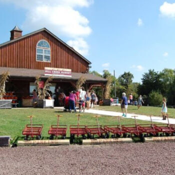 12 Great apple-picking spots near Philly for a perfect fall weekend
