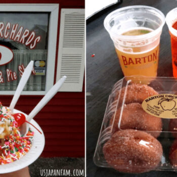 12 Hudson Valley Cider Donut Stands Worth the Drive This Fall