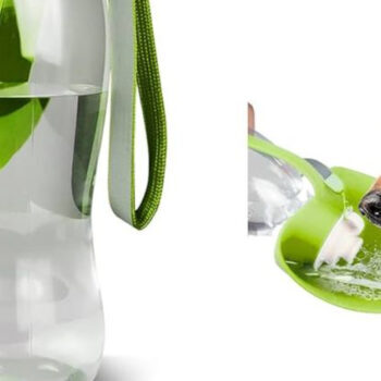 12 Portable Water Bowls for Pets