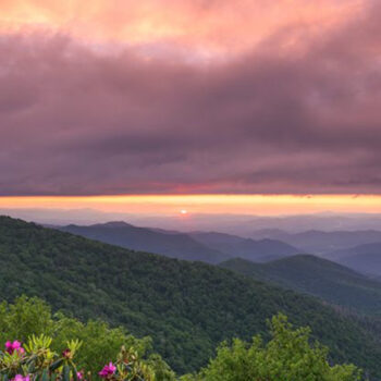 12 Scenic Trails Near Asheville to Hike Before Summer Ends