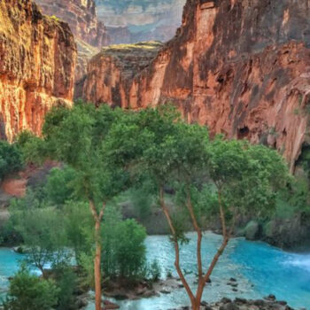 12 Secret National Park Birding Spots Only Rangers Know About