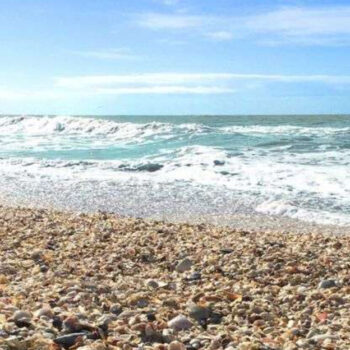 12 Shelling beaches on the Gulf Coast worth the drive