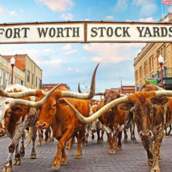 12 best day trips from Dallas within two hours