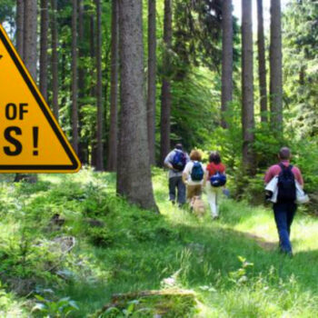 13 Dangerous Animals You Never Want to Encounter While Hiking