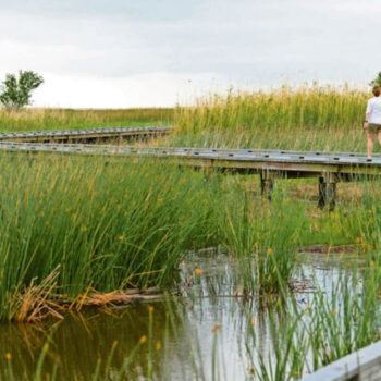 13 Ways to Experience Lake Charles — From Serene Bayous to Downtown Buzz