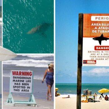 15 Beaches So Dangerous You’ll Think Twice Before Visiting