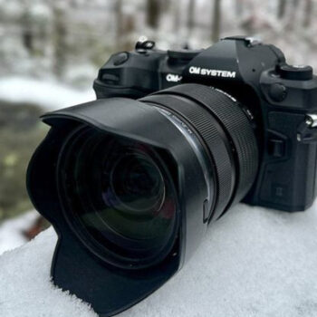 15 Cameras That Make Wildlife Photography Way Easier (From Budget to Pro)