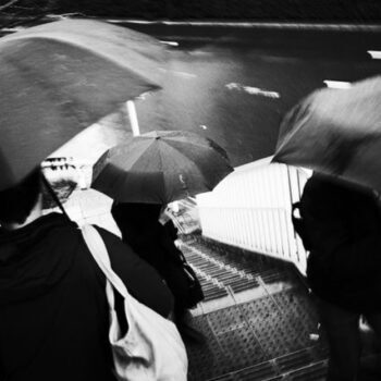 15 Compact Cameras That Make Everyday Scenes Look Artful