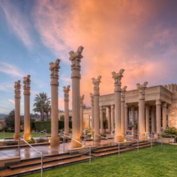 15 Napa Vineyards Rated Gold by Tripadvisor Reviews