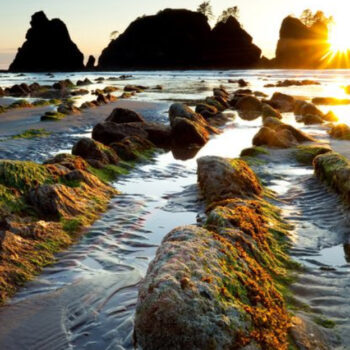 16 Hidden U.S. Beaches That Put Hawaii to Shame