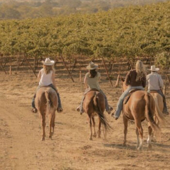 17 Amazing Things to Do in Paso Robles