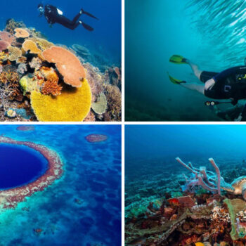 17 Scuba Spots That Changed How I See the Ocean