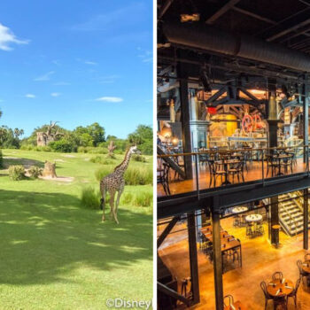 18 Disney World Attractions That Are Actually Better Without Kids