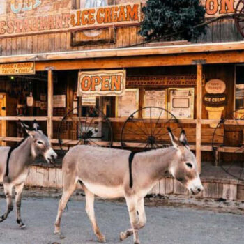 20 Charming Small Towns With the Strangest Claims to Fame—#1 Raises Worms