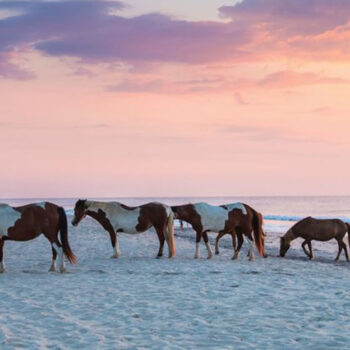 20 Hidden U.S. Family Destinations Locals Hope You Never Discover