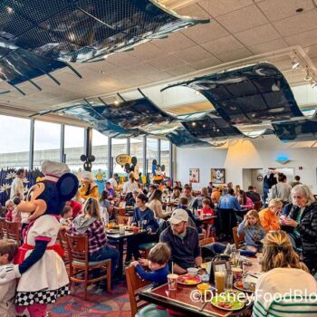 23-Disney-World-Splurges-That-Are-Wastes-Of-Money.jpg