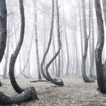 23 Places Where Mysteries Still Baffle Scientists Today