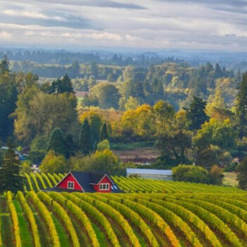 7 Romantic Wine Getaways That Deliver - And 3 Noisy Ones to Skip