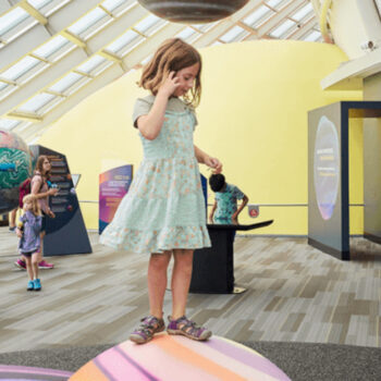7 kid-friendly museums in Chicago that adults enjoy, too