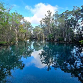 7 must-see natural wonders in Florida for your family's bucket list