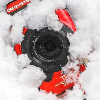 8 Best Cameras for Arctic and Winter Travel Photography