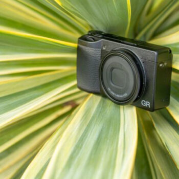 9 Best Compact Cameras for Close-Up Nature Shots in 2025