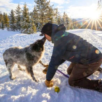 9 Essential Tips for Hiking With Your Dog in Winter